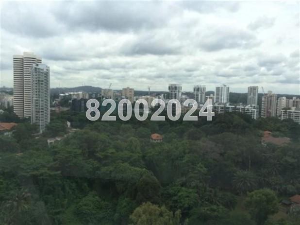 Scotts 28 (D9), Condominium #68816952